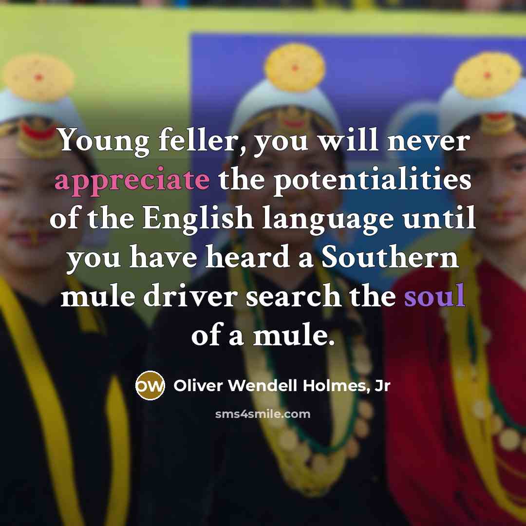 “Young feller, you will never appreciate the potentialities of the…” quote by Oliver Wendell Holmes, Jr