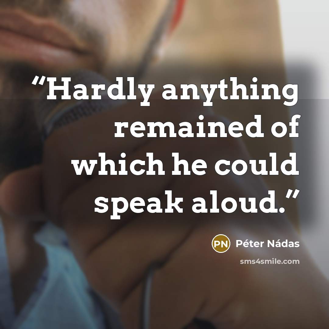“Hardly anything remained of which he could speak aloud.” quote by Peter Nadas