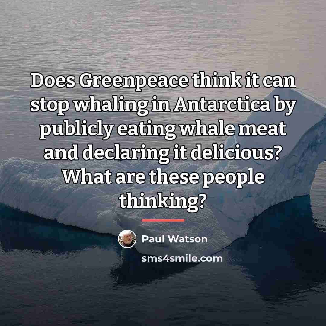 “Does Greenpeace think it can stop whaling in Antarctica by…” quote by Paul Watson