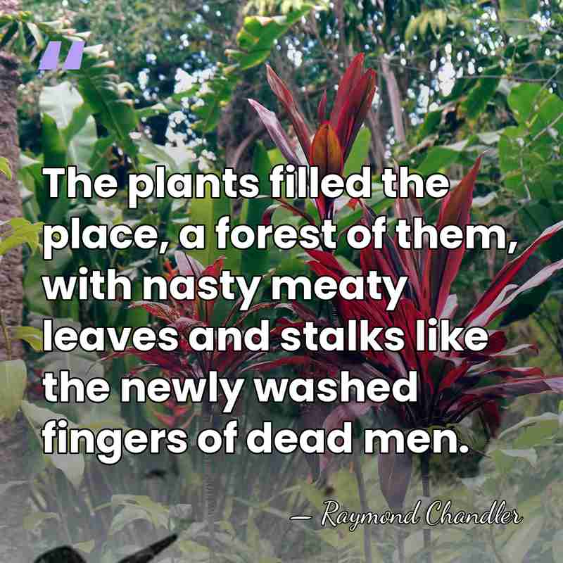 The plants filled the place, a forest of them, with nasty meaty&hellip; - Raymond Chandler