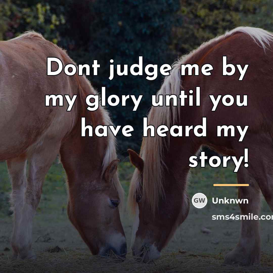 “Dont judge me by my glory until you have heard…” quote by Unknwn