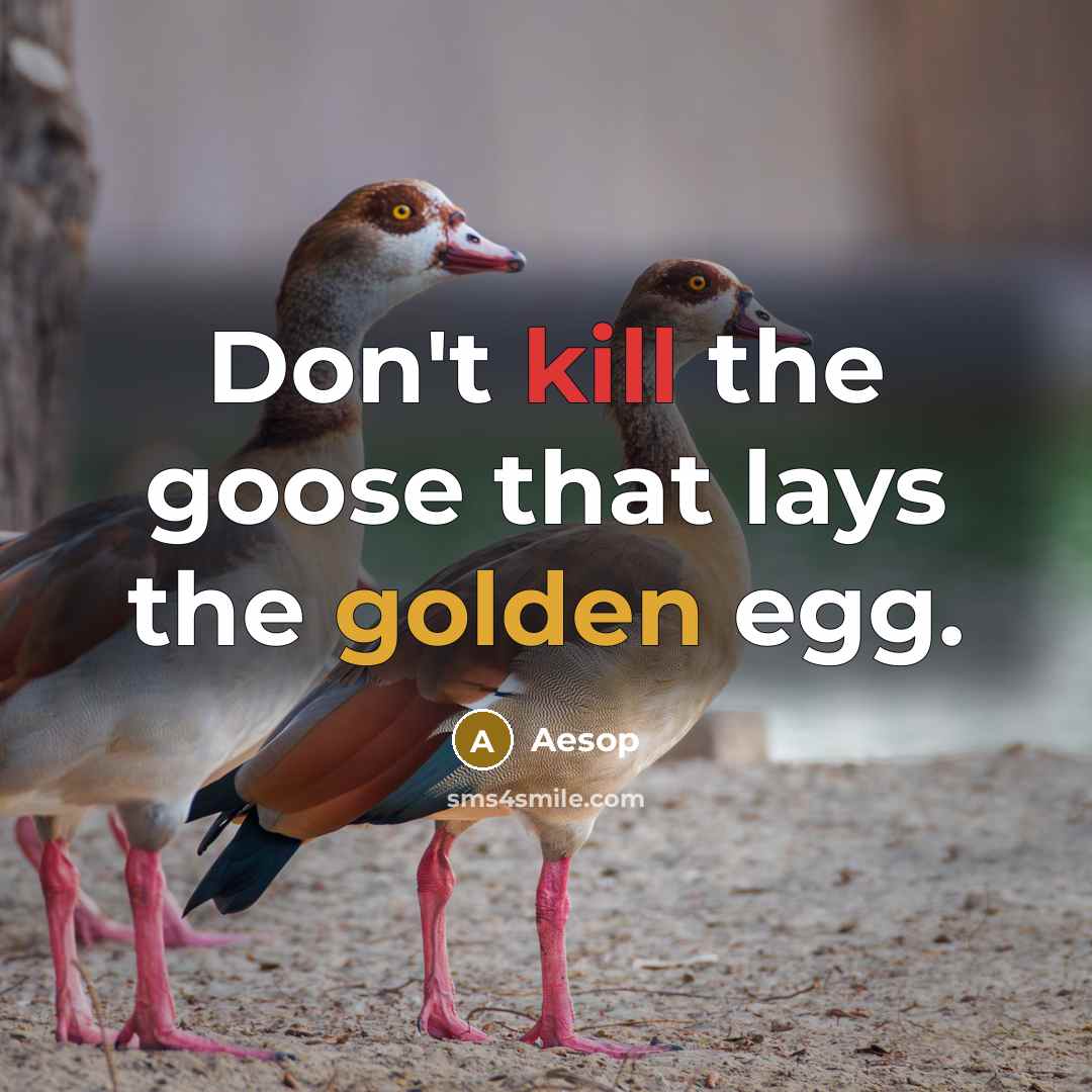 “Don't kill the goose that lays the golden egg.…” quote by Aesop