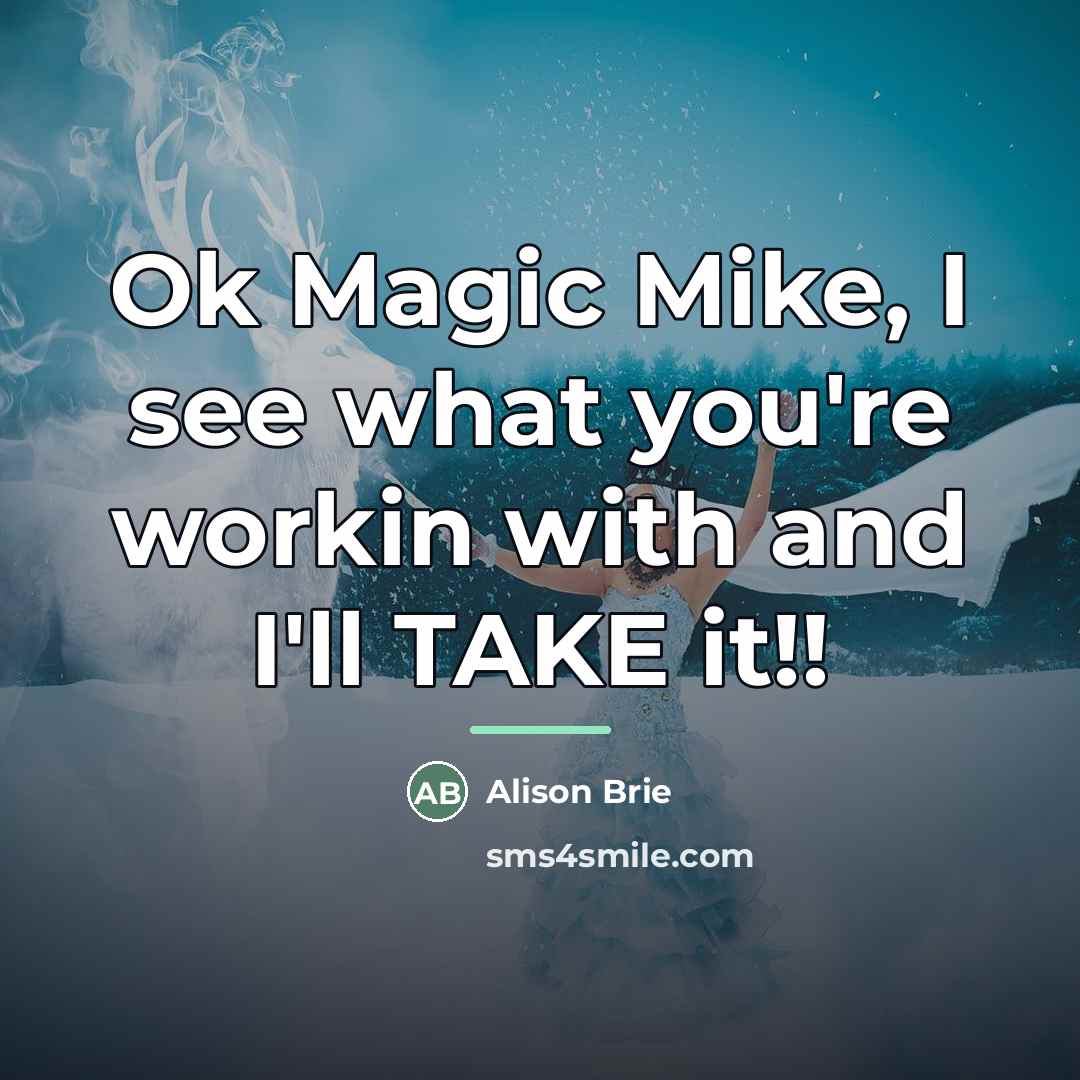 “Ok Magic Mike, I see what you're workin with and…” quote by Alison Brie