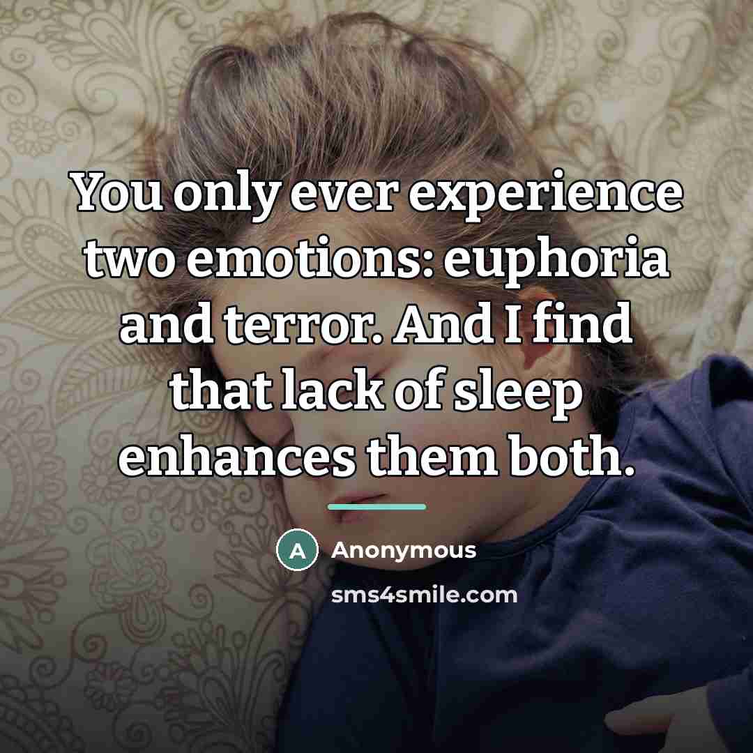 “You only ever experience two emotions: euphoria and terror. And…” quote by Anonymous