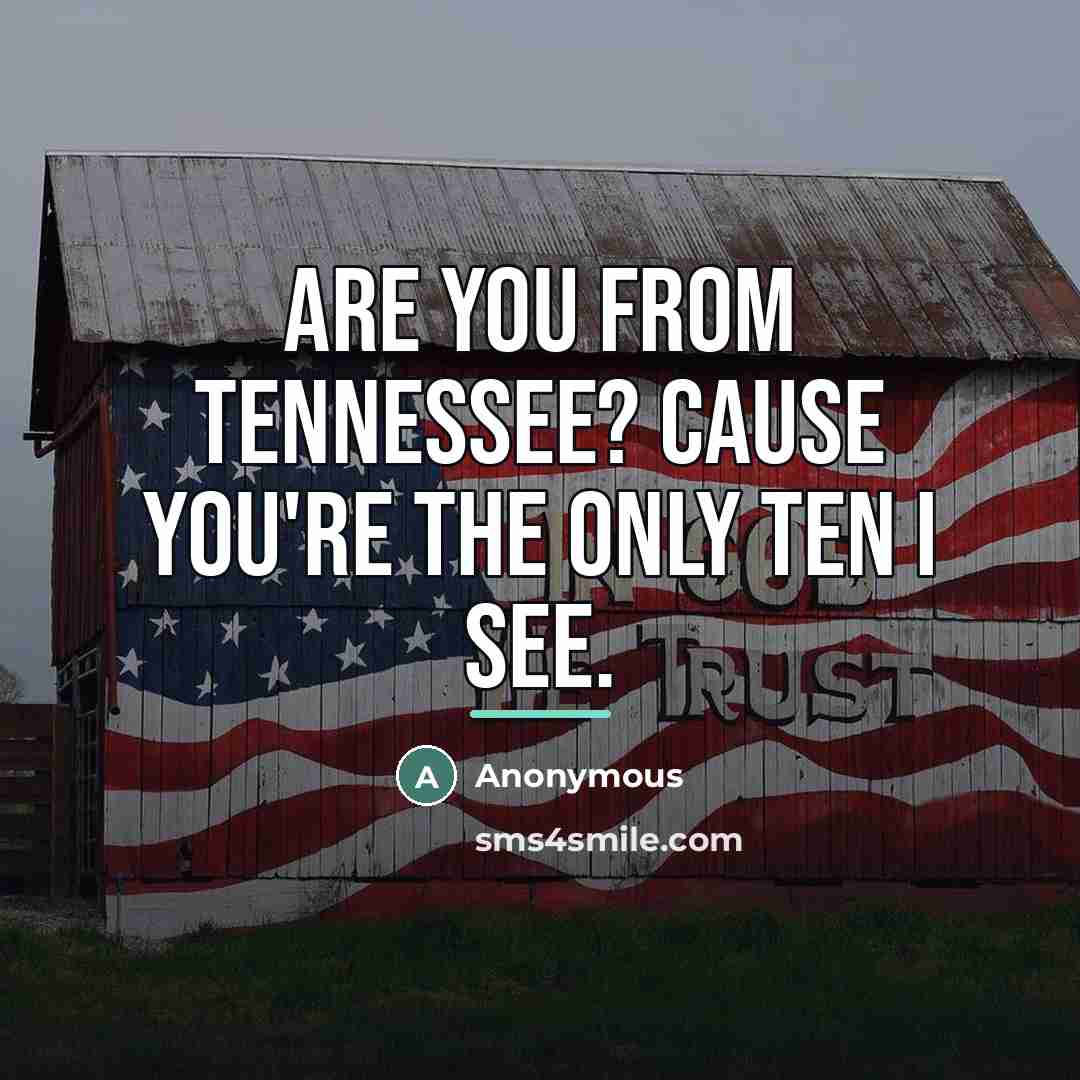 “Are you from Tennessee? Cause you're the only TEN I…” quote by Anonymous