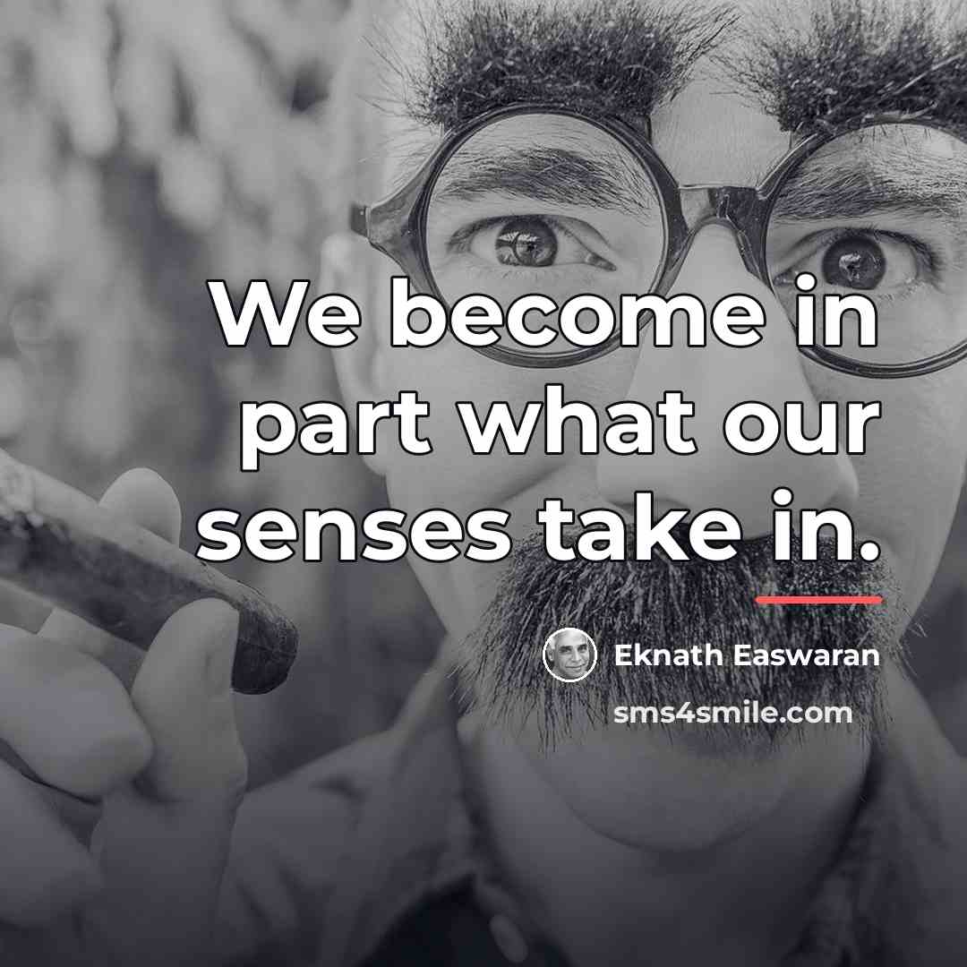 “We become in part what our senses take in.…” quote by Eknath Easwaran