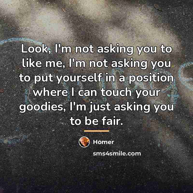 “Look, I'm not asking you to like me, I'm not…” quote by Homer