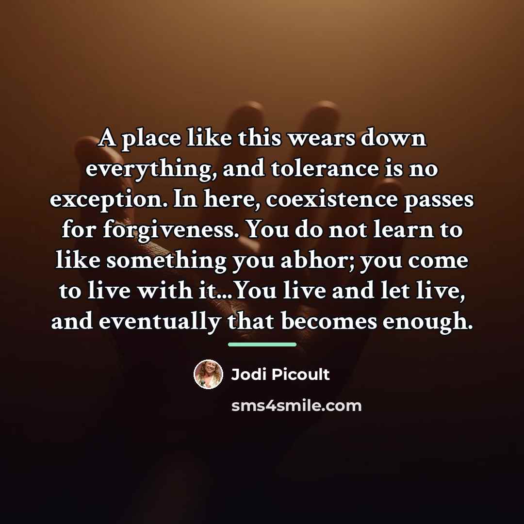“A place like this wears down everything, and tolerance is…” quote by Jodi Picoult
