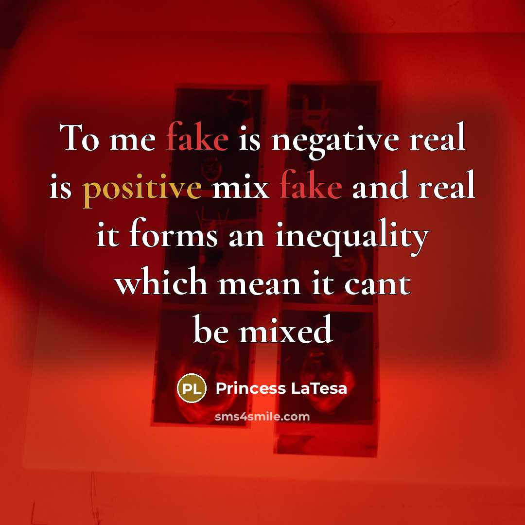 “To me fake is negative real is positive mix fake and real it forms an inequality which mean it cant be mixed” quote by Princess LaTesa