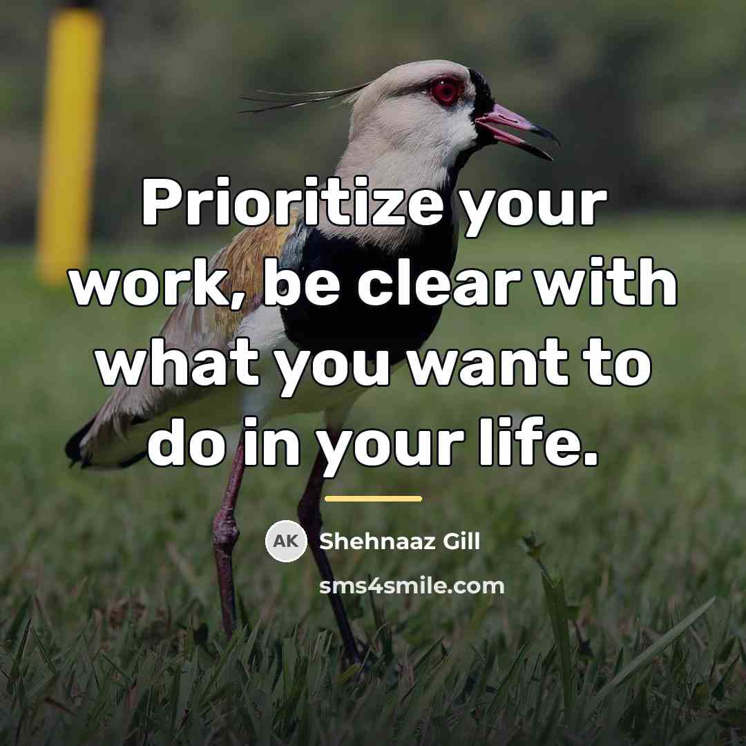 “Prioritize your work, be clear with what you want to…” quote by Shehnaaz Gill