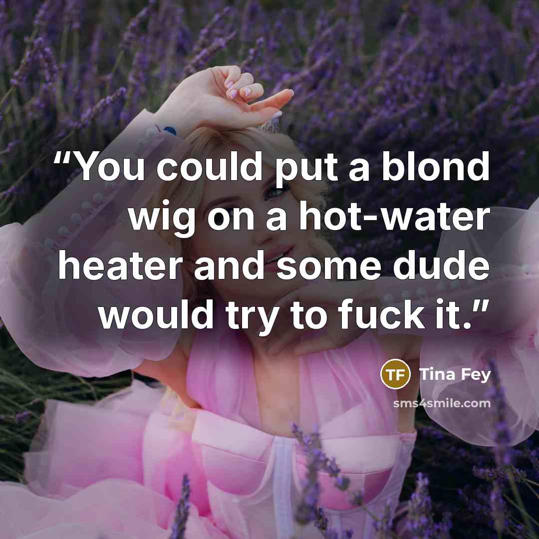 “You could put a blond wig on a hot-water heater and some dude would try to fuck it.” quote by Tina Fey