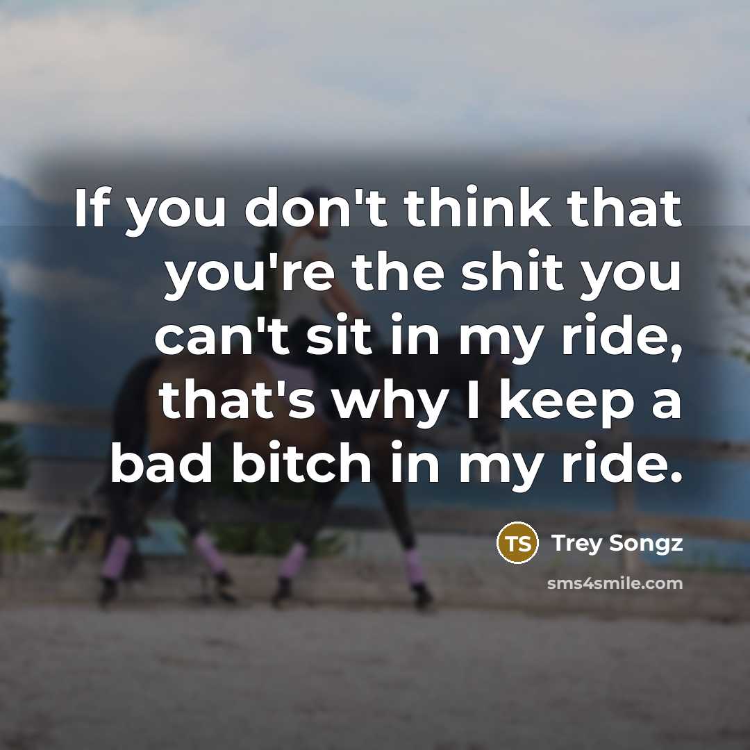 “If you don't think that you're the shit you can't…” quote by Trey Songz
