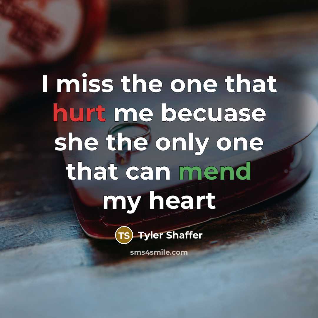 “I miss the one that hurt me becuase she the only one that can mend my heart” quote by Tyler Shaffer