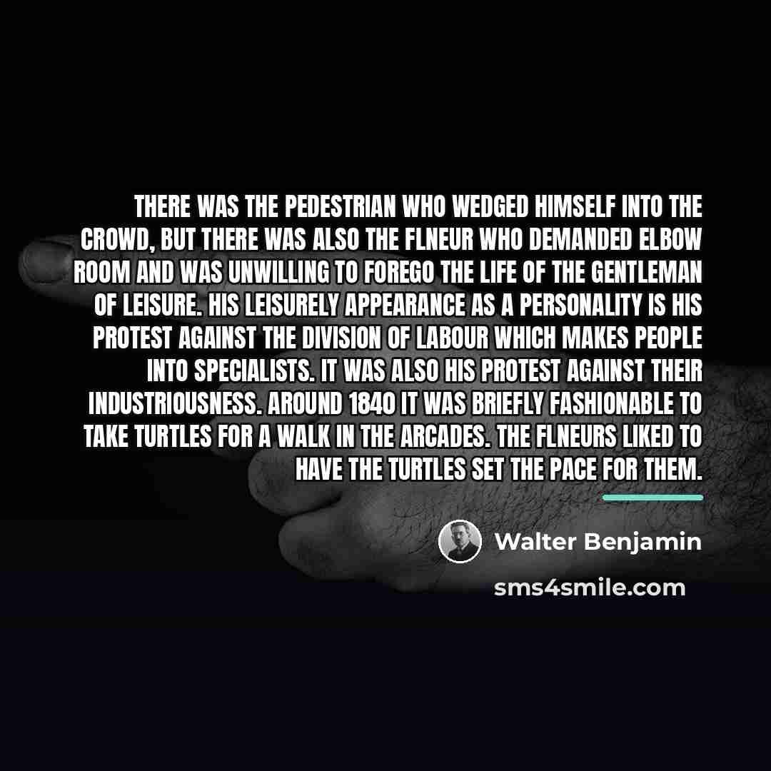 “There was the pedestrian who wedged himself into the crowd,…” quote by Walter Benjamin