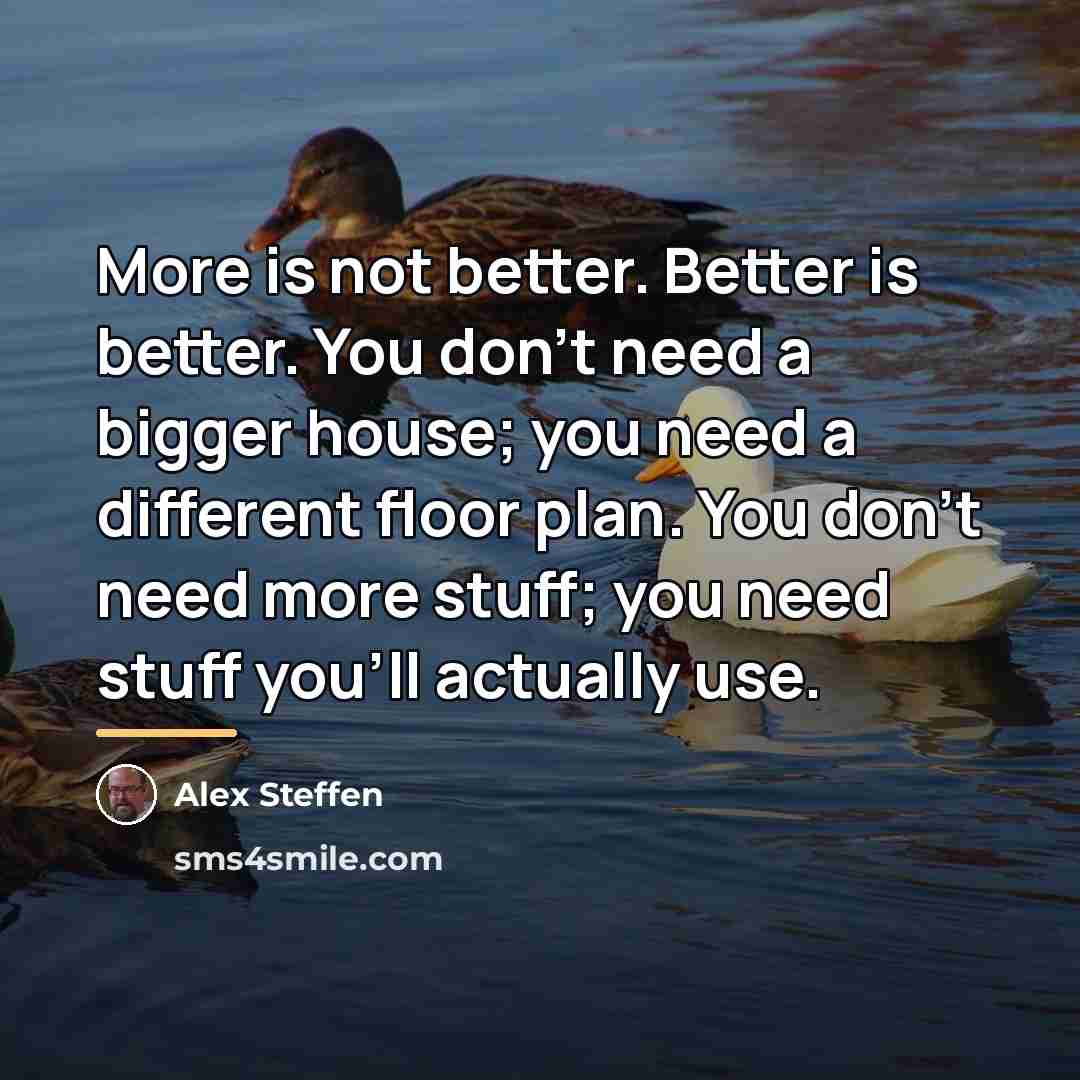 “More is not better. Better is better. You don't need…” quote by Alex Steffen