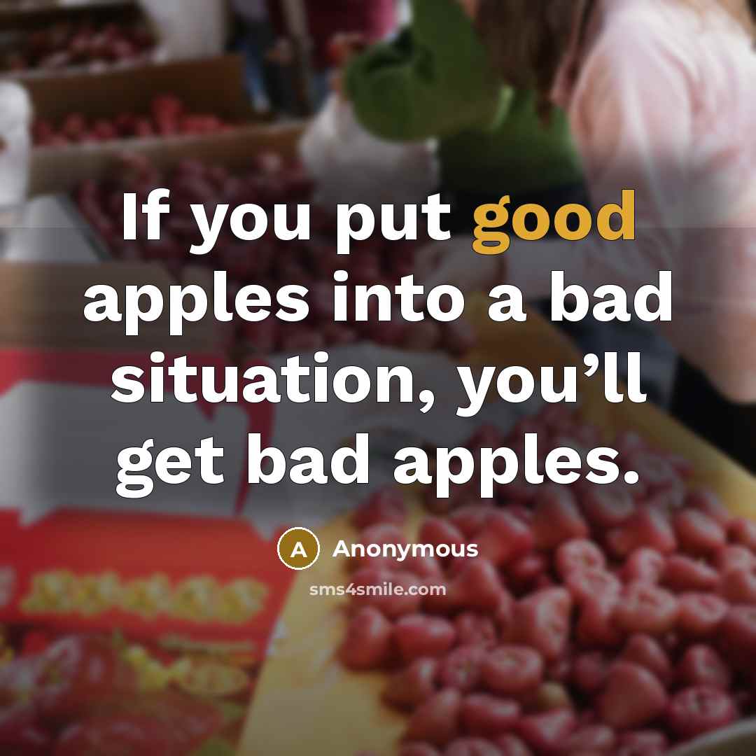 “If you put good apples into a bad situation, you’ll…” quote by Anonymous