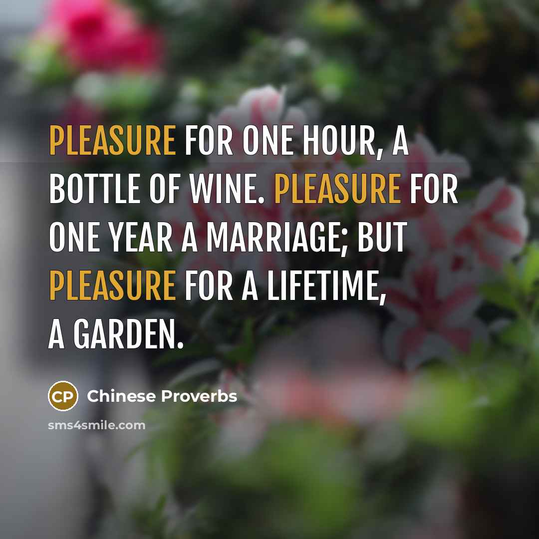 “Pleasure for one hour, a bottle of wine. Pleasure for…” quote by Chinese Proverbs