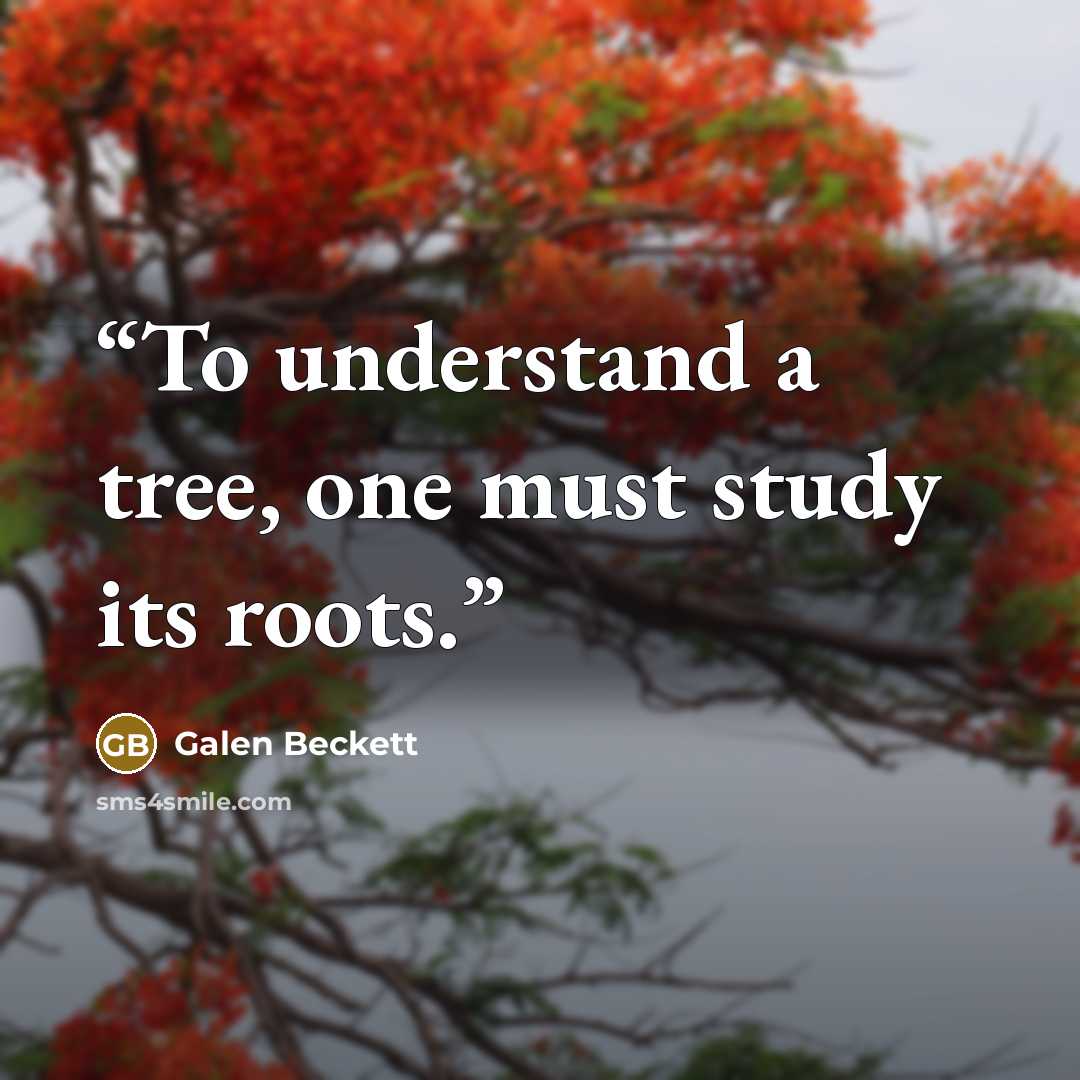 “To understand a tree, one must study its roots.” quote by Galen Beckett