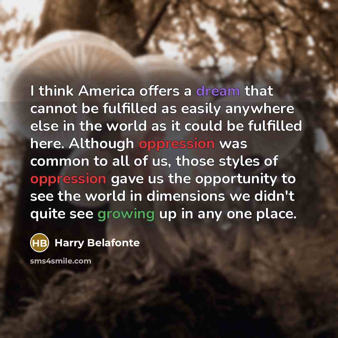“I think America offers a dream that cannot be fulfilled…” quote by Harry Belafonte
