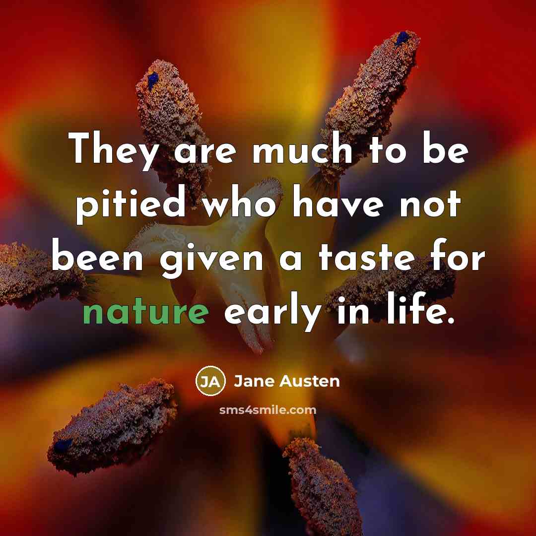 “They are much to be pitied who have not been…” quote by Jane Austen