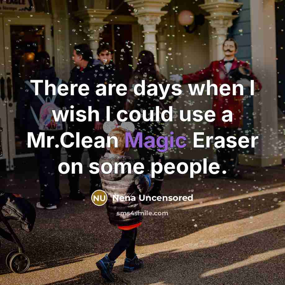 “There are days when I wish I could use a Mr.Clean Magic Eraser on some people.” quote by Nena Uncensored