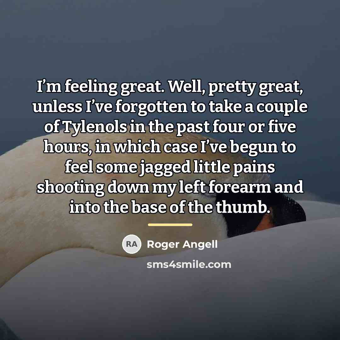 “I’m feeling great. Well, pretty great, unless I’ve forgotten to…” quote by Roger Angell