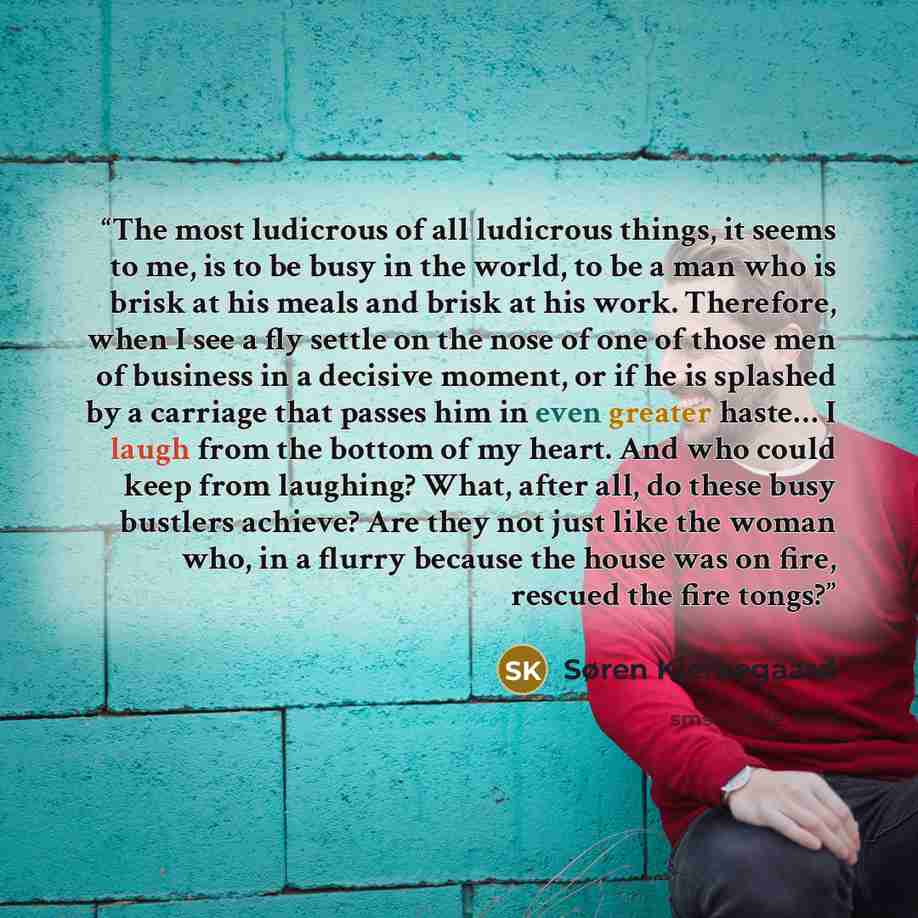 “The most ludicrous of all ludicrous things, it seems to me, is to be busy in the world, to be a man who is brisk at his meals and brisk at his work. Therefore, when I see a fly settle on the nose of one of those men of business in a decisive moment, or if he is splashed by a carriage that passes…” quote by Søren Kierkegaard