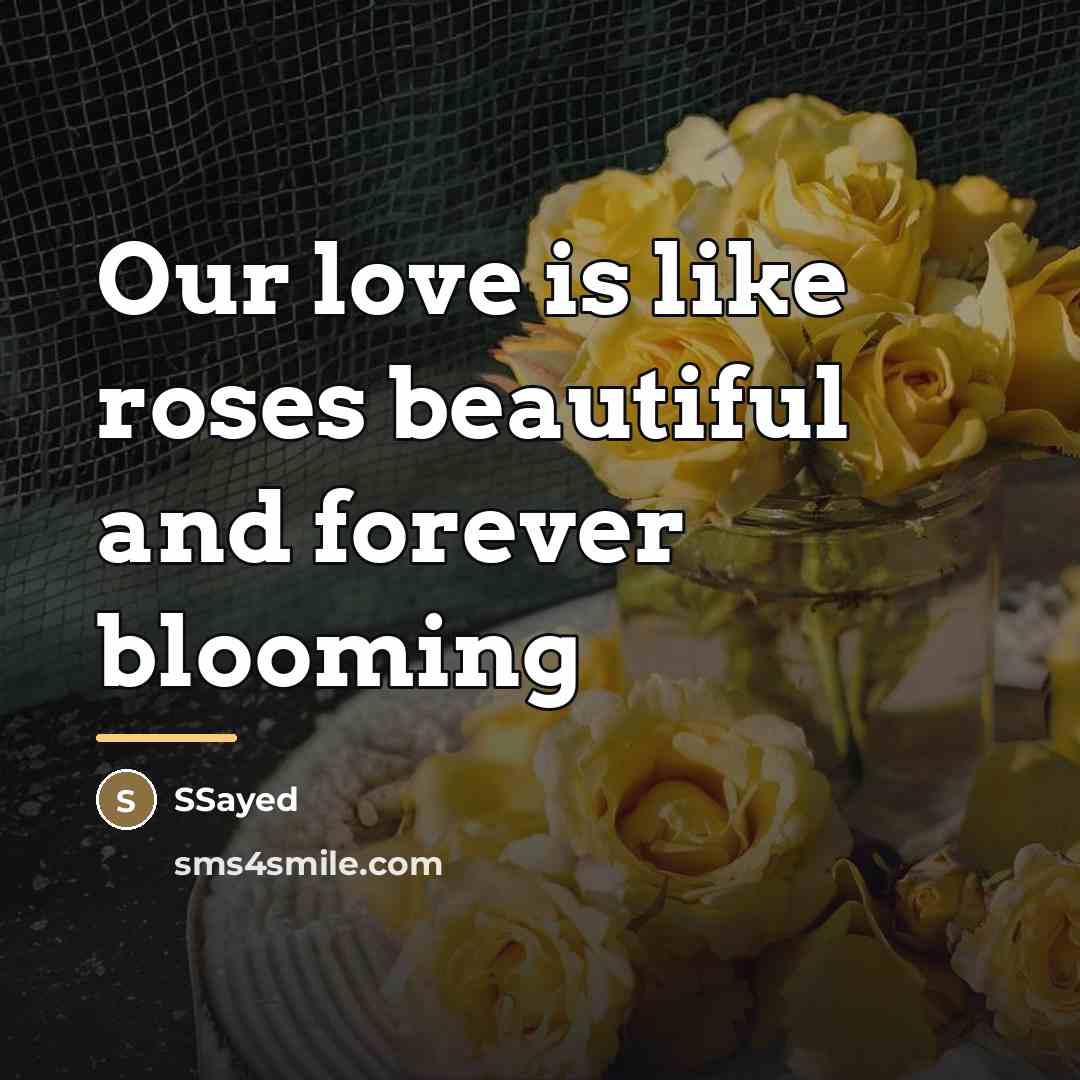 “Our love is like roses beautiful and forever blooming…” quote by SSayed