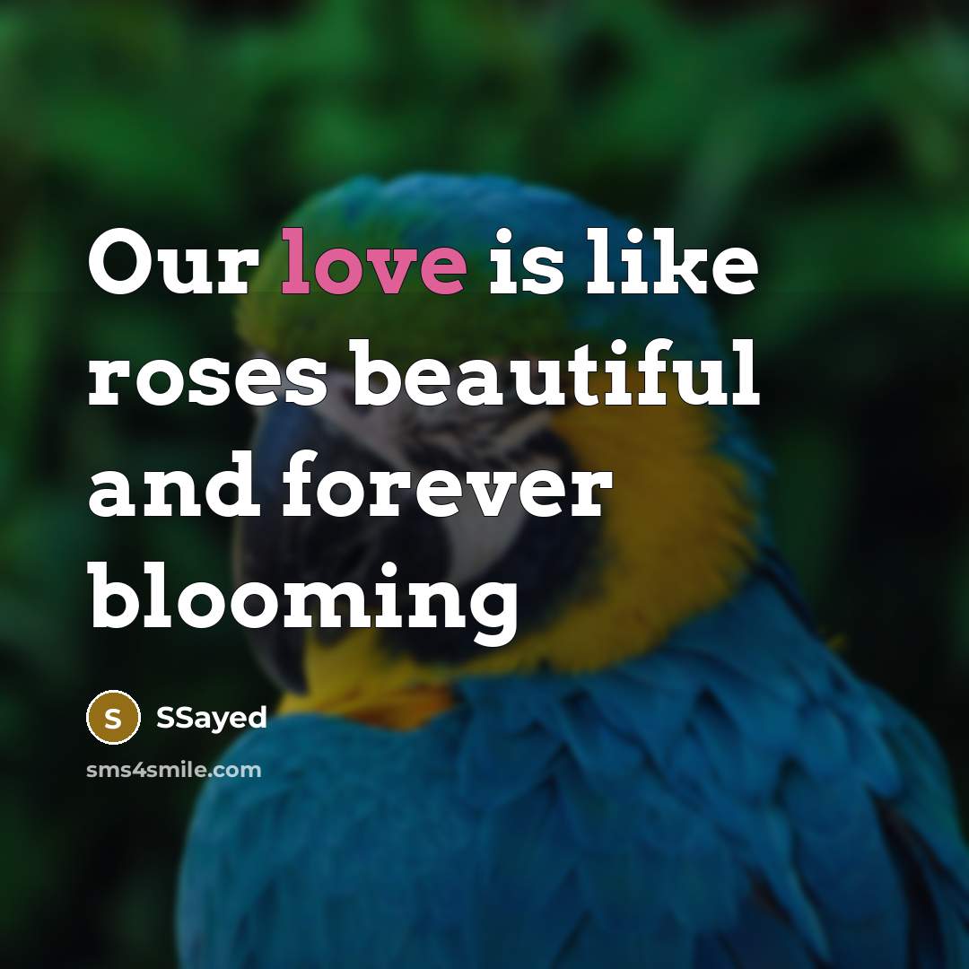 “Our love is like roses beautiful and forever blooming” quote by SSayed