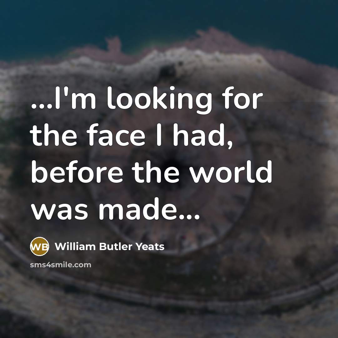“...I'm looking for the face I had, before the world…” quote by William Butler Yeats