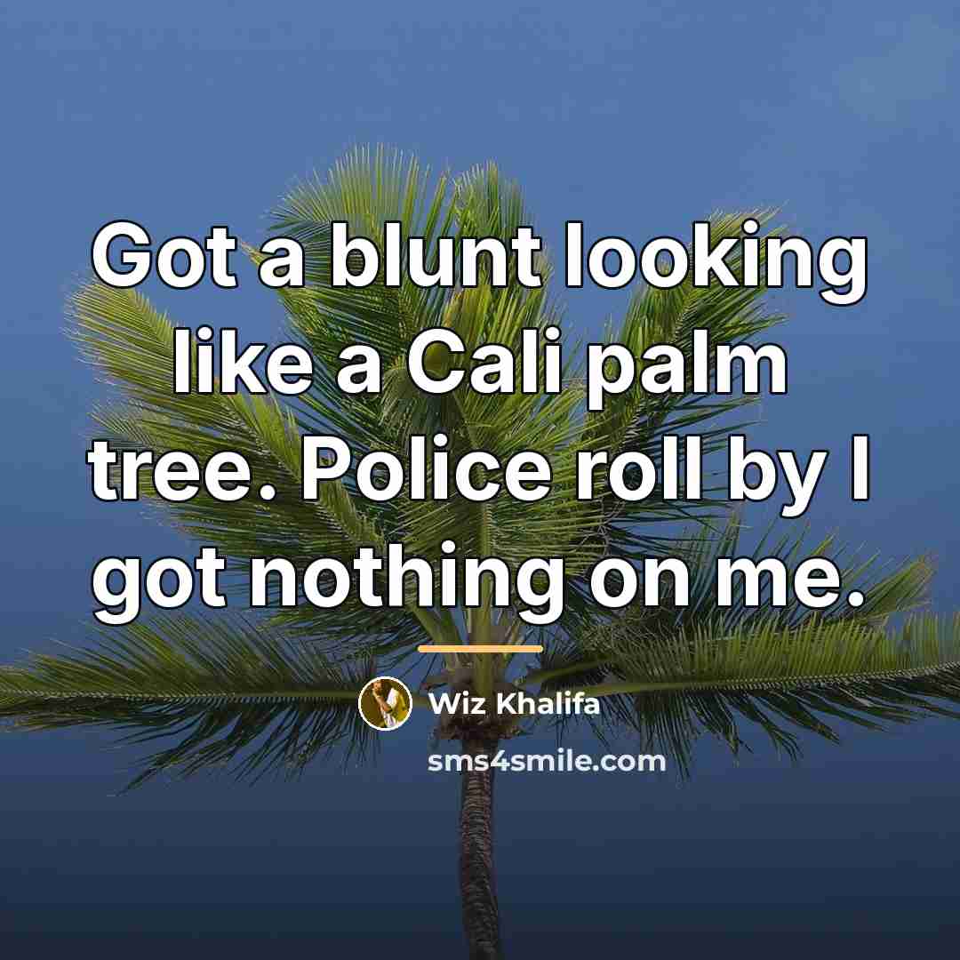 “Got a blunt looking like a Cali palm tree. Police…” quote by Wiz Khalifa