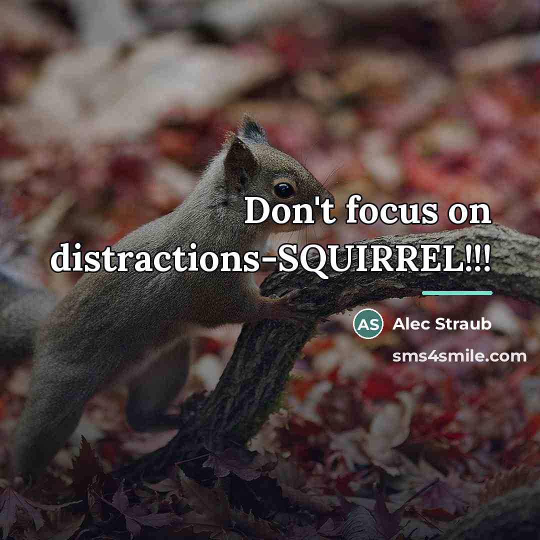 “Don't focus on distractions-SQUIRREL!!!…” quote by Alec Straub