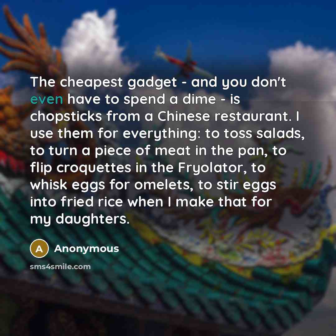 “The cheapest gadget - and you don't even have to…” quote by Anonymous