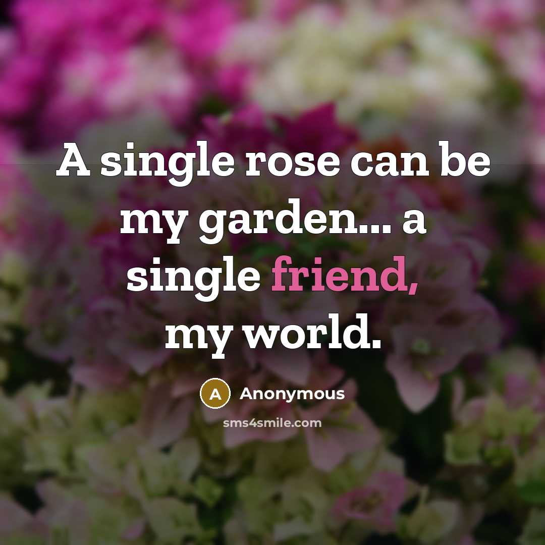 “A single rose can be my garden... a single friend, my world.” quote by Anonymous