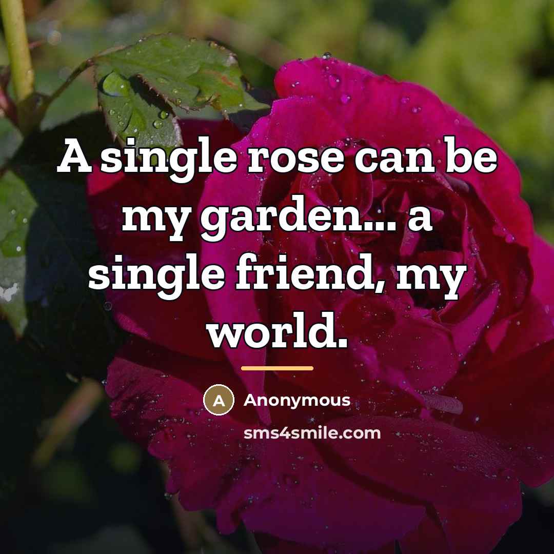 “A single rose can be my garden... a single friend,…” quote by Anonymous