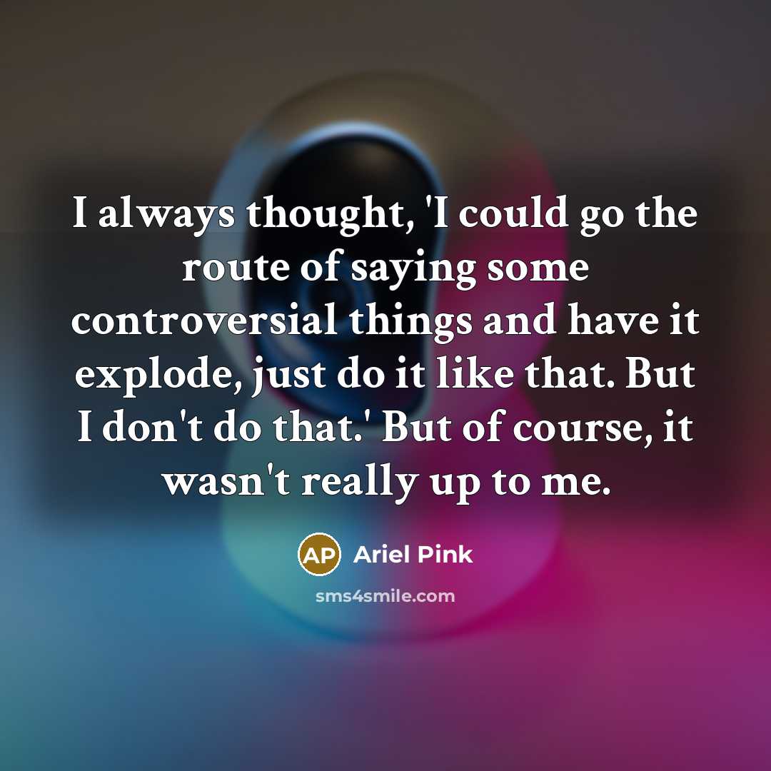 “I always thought, 'I could go the route of saying…” quote by Ariel Pink