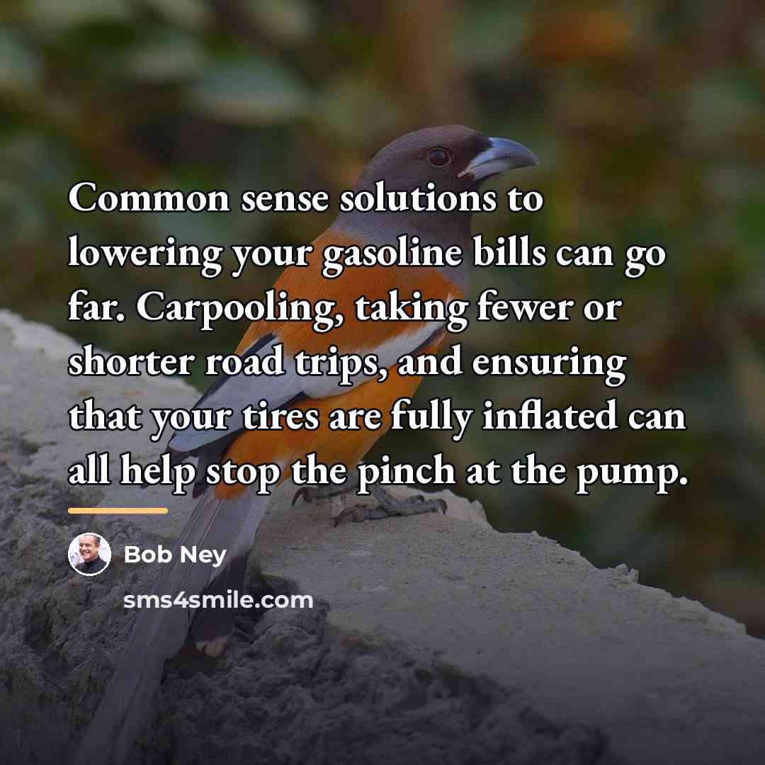 “Common sense solutions to lowering your gasoline bills can go…” quote by Bob Ney