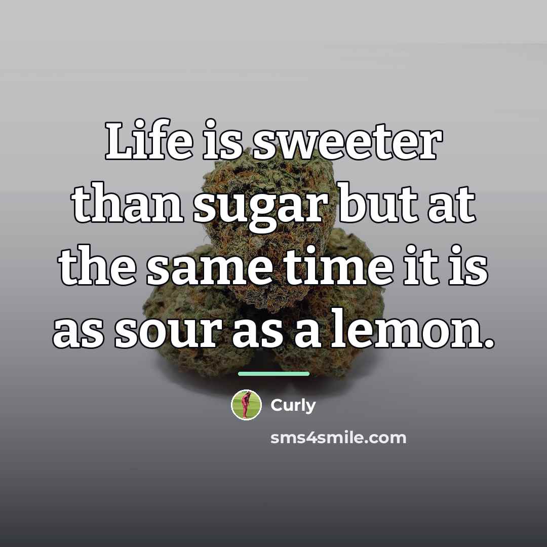“Life is sweeter than sugar but at the same time…” quote by Curly