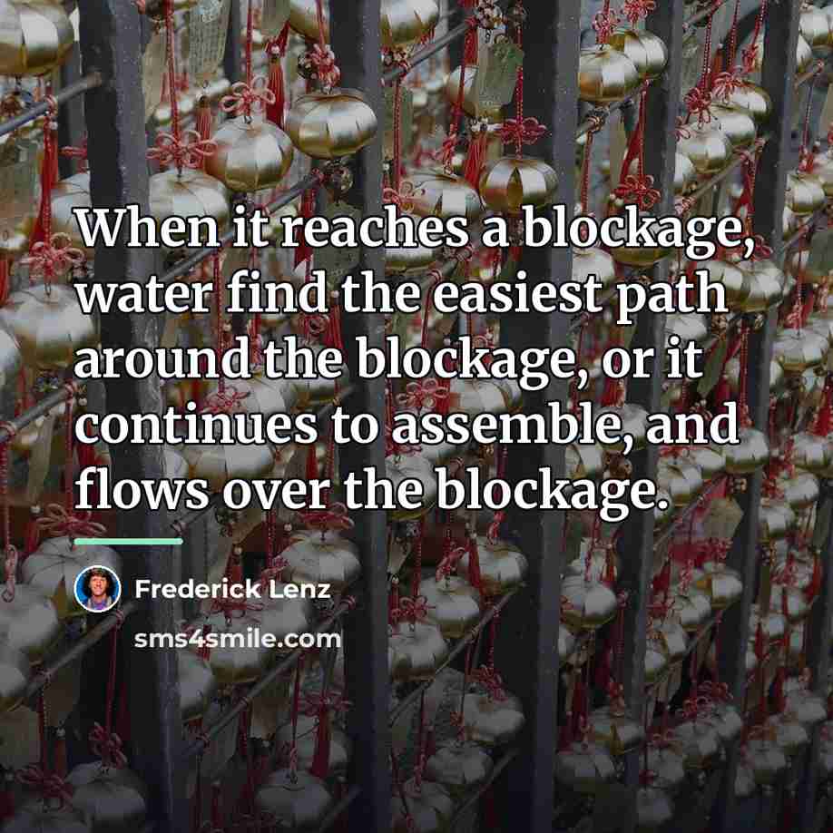 “When it reaches a blockage, water find the easiest path…” quote by Frederick Lenz