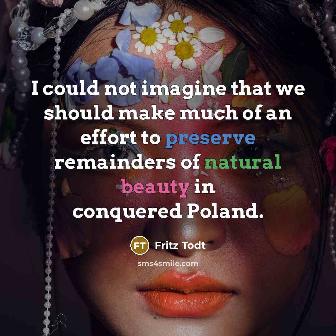 “I could not imagine that we should make much of…” quote by Fritz Todt
