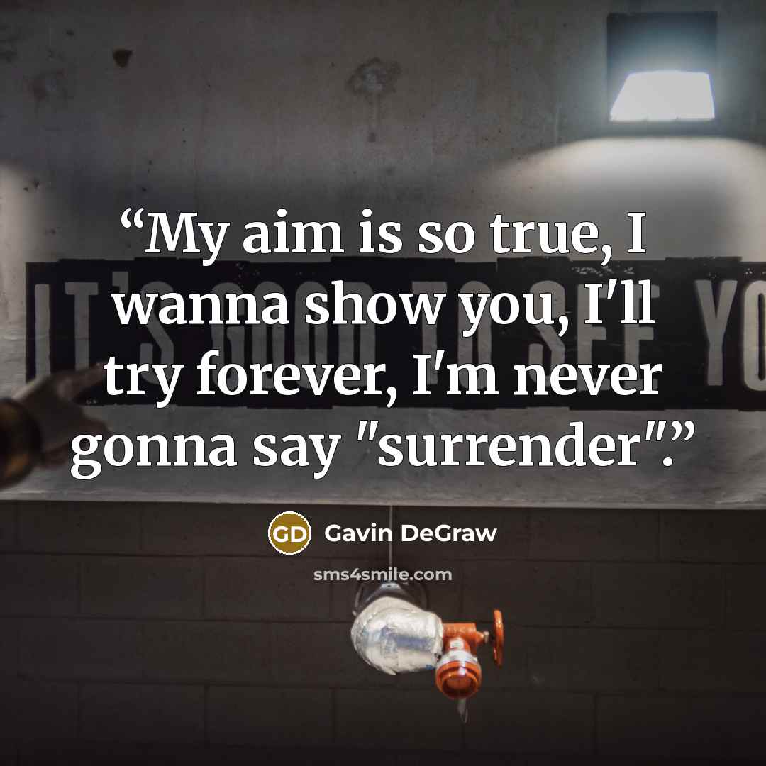 “My aim is so true, I wanna show you, I'll try forever, I'm never gonna say "surrender".” quote by Gavin DeGraw