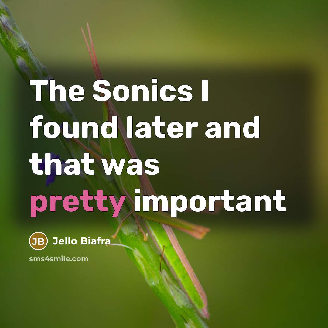 “The Sonics I found later and that was pretty important…” quote by Jello Biafra