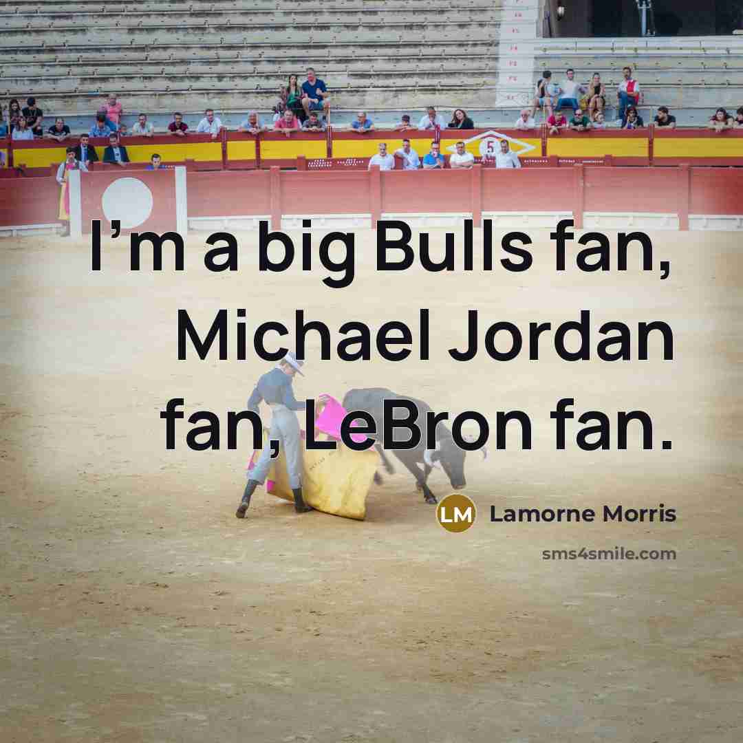 “I'm a big Bulls fan, Michael Jordan fan, LeBron fan.…” quote by Lamorne Morris