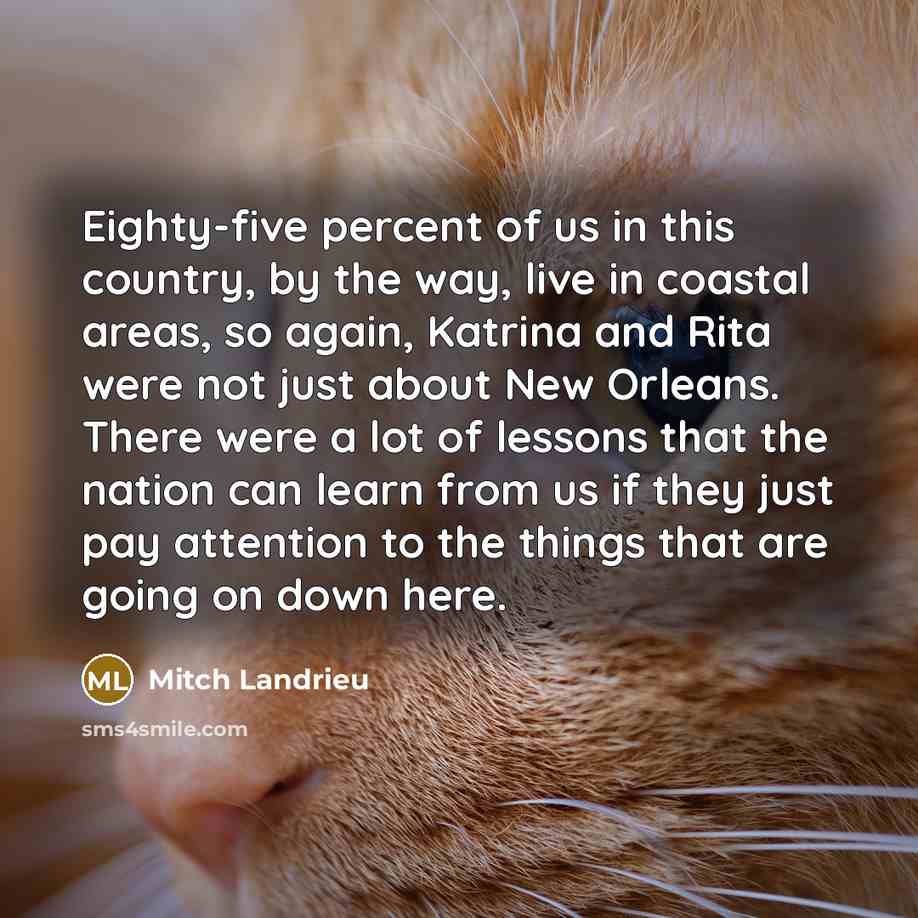 “Eighty-five percent of us in this country, by the way,…” quote by Mitch Landrieu