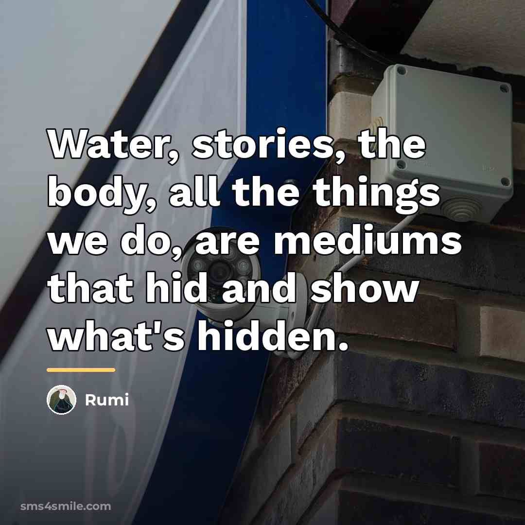 “Water, stories, the body, all the things we do, are…” quote by Rumi