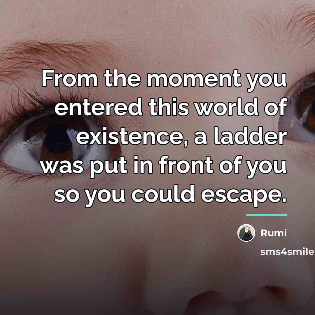“From the moment you entered this world of existence, a…” quote by Rumi