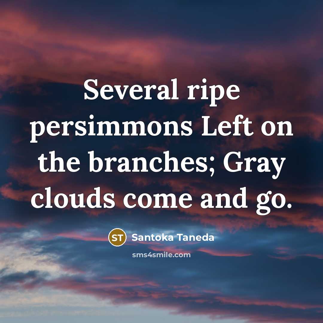 “Several ripe persimmons Left on the branches; Gray clouds come…” quote by Santoka Taneda