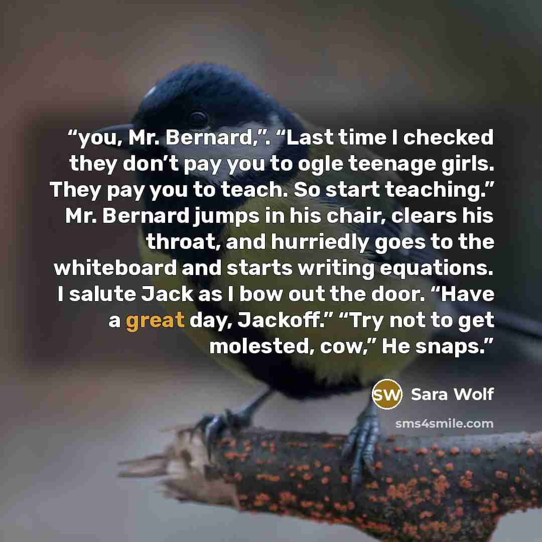 “you, Mr. Bernard,”. “Last time I checked they don’t pay you to ogle teenage girls. They pay you to teach. So start teaching.” Mr. Bernard jumps in his chair, clears his throat, and hurriedly goes to the whiteboard and starts writing equations. I salute Jack as I bow out the door. “Have a great…” quote by Sara Wolf
