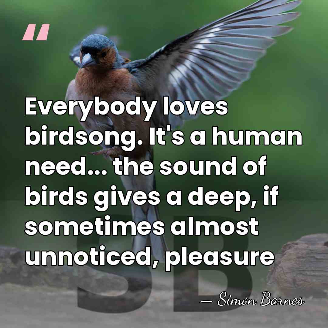 Everybody loves birdsong. It's a human need... the sound of birds gives&hellip; - Simon Barnes