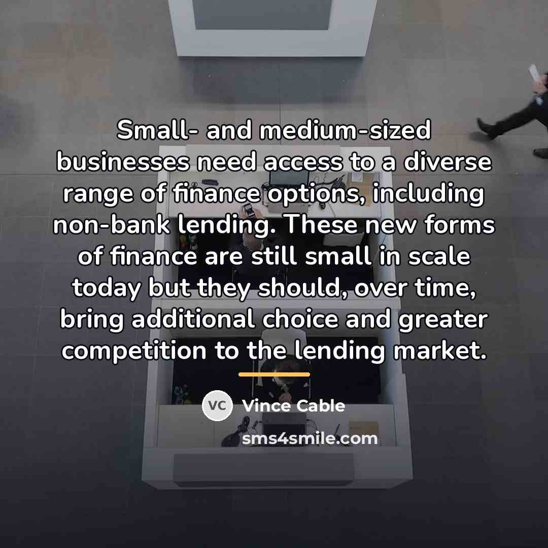 “Small- and medium-sized businesses need access to a diverse range…” quote by Vince Cable